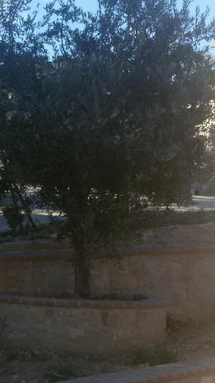 Agriturismo Villalta Ponte Felcino エクステリア 写真