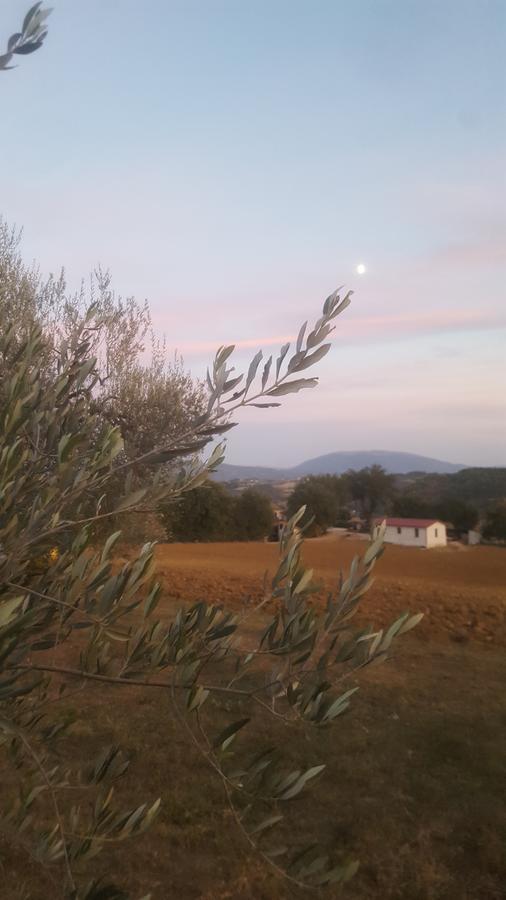 Agriturismo Villalta Ponte Felcino エクステリア 写真