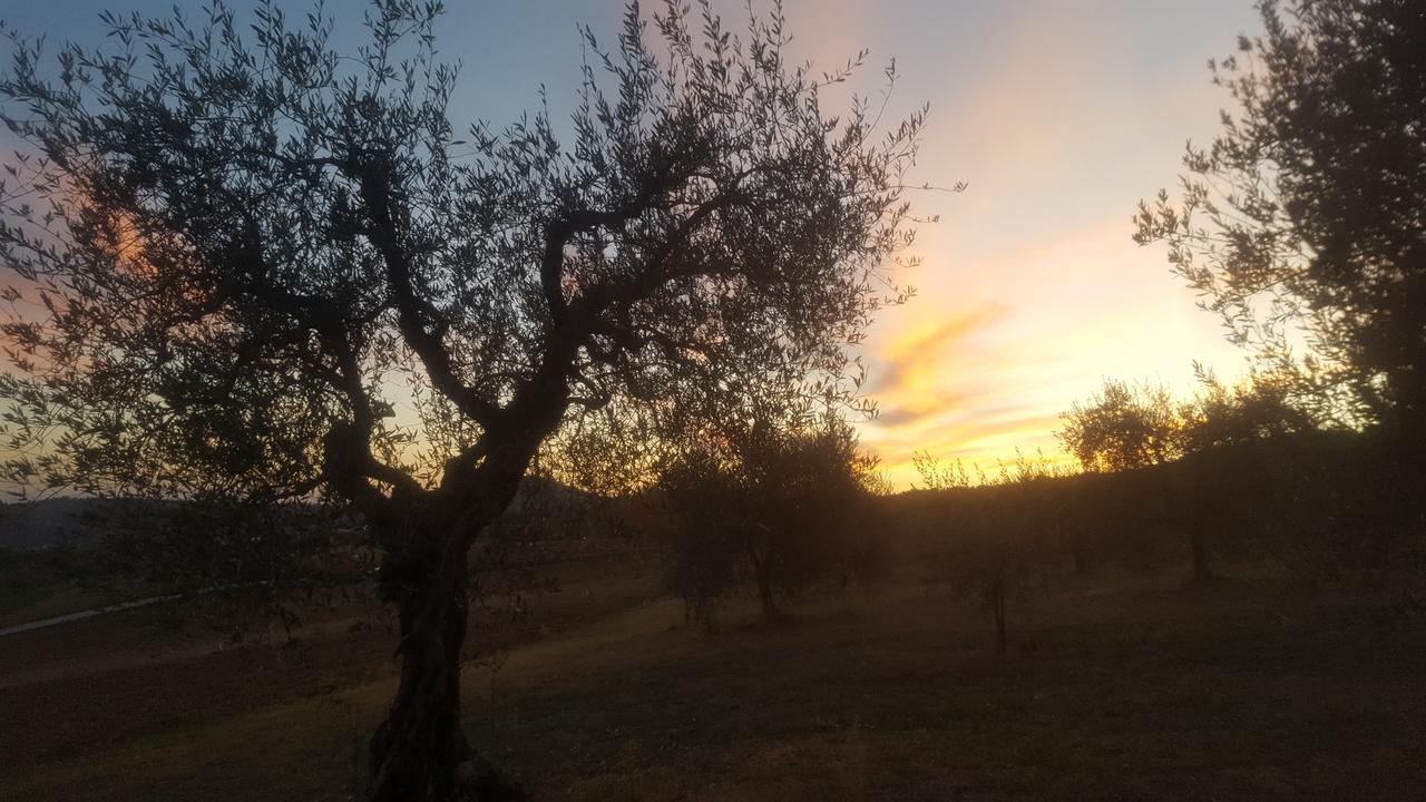 Agriturismo Villalta Ponte Felcino エクステリア 写真